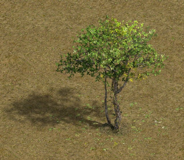 forest - large broadleaf 01 3D Model .c4d .max .obj .3ds .fbx .stl .blend 