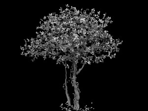 forest - large broadleaf 01 3D Model
