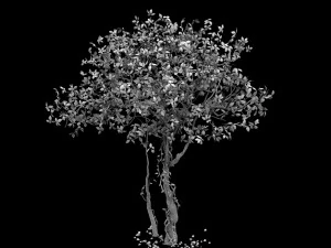 forest - large broadleaf 01 3D Model