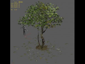 forest - large broadleaf 01 3D Model