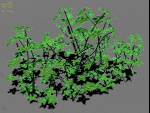 forest - large shrub 09 3D-Modell