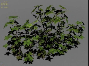 forest - large shrub 09 3D Model