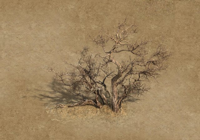 desert barracks - dead tree 04 3D 모델 .c4d .max .obj .3ds .fbx .stl .blend 