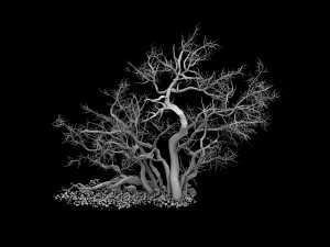 desert barracks - dead tree 04 3D Model