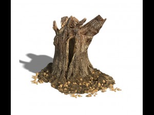 desert - dead roots 03 3D Model