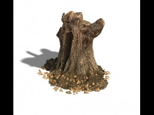 desert - dead roots 03 3D Model