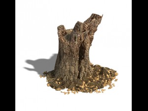 desert - dead roots 03 3D Model
