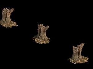 desert - dead roots 03 3D Model