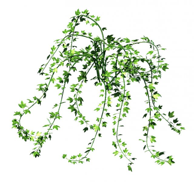 general plant - vines 35 3D 模型 .c4d .max .obj .3ds .fbx .stl .blend 