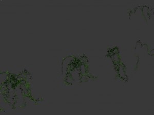 general plant - vines 35 3D 模型