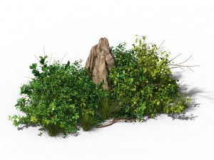 general plant - flowers 37 Modelo 3D