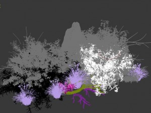 general plant - flowers 37 3D Model