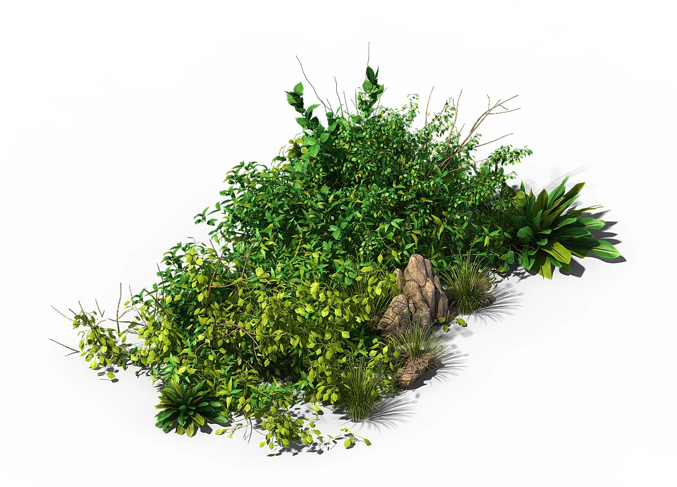 general plant - flowers 38 3D Model .c4d .max .obj .3ds .fbx .stl .blend 