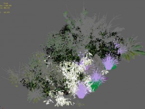 general plant - flowers 38 3D Модель