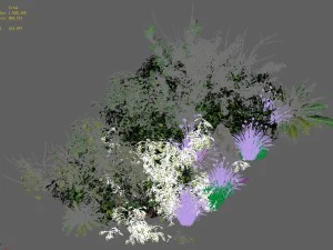 general plant - flowers 38 3D Model