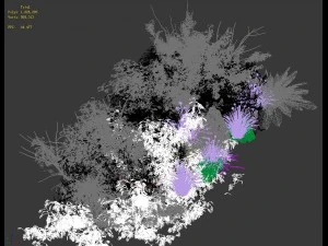 general plant - flowers 38 3D Model