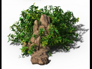 general plant - flowers 39 3D Model