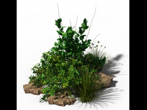 general plant - flowers 39 Modello 3D