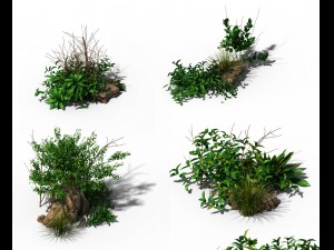 general plant - flowers 39 Modello 3D