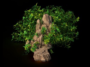 general plant - flowers 39 Modello 3D