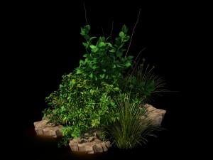 general plant - flowers 39 Modello 3D