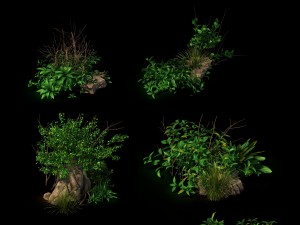 general plant - flowers 39 Modello 3D