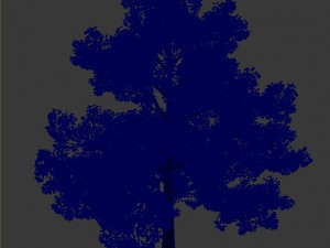general plant - tree 35 3D Модель