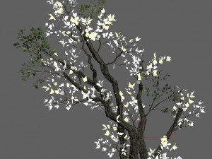 general plant - trees 01 Model 3D