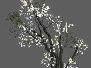 general plant - trees 01 3D Model