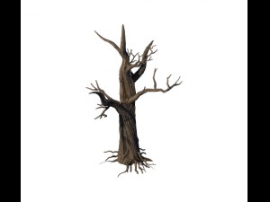 general plant - trees 04 3D Modell
