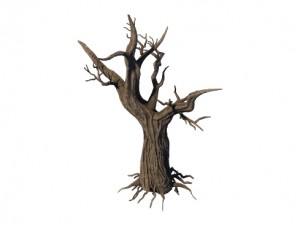 general plant - trees 04 3D Modell