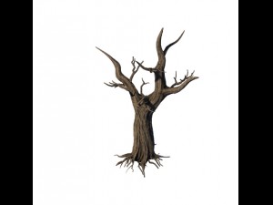 general plant - trees 04 3D Modell