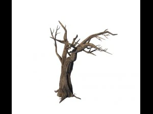 सामान्य पौधे-वृक्ष 05 3D मॉडल