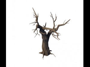 general plant - trees 05 3D Model