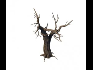 general plant - trees 05 3D Model