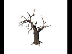 general plant - trees 05 3D Model