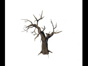 general plant - trees 05 3D Model