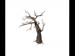 general plant - trees 05 3D Model