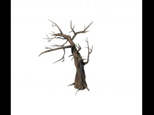 general plant - trees 05 3D Model