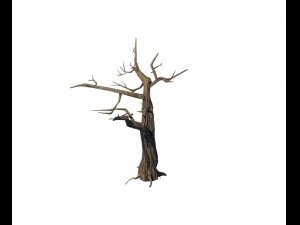 general plant - trees 05 3D Model