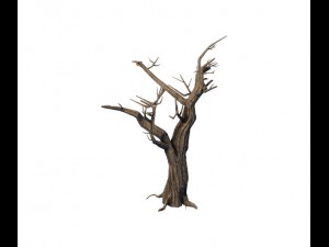 general plant - trees 05 3D Model