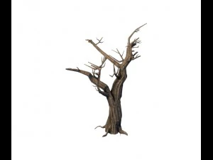 general plant - trees 05 3D Model