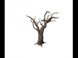 general plant - trees 05 3D Model