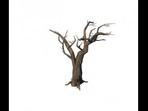 general plant - trees 05 3D Model