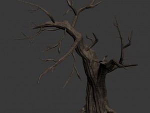 general plant - trees 05 3D Model