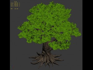 plant - big banyan tree 053 Modello 3D