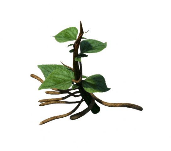 plant trees - vines 01 3D 模型 .c4d .max .obj .3ds .fbx .stl .blend 