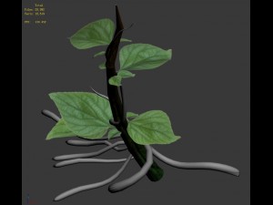 plant trees - vines 01 3D 模型