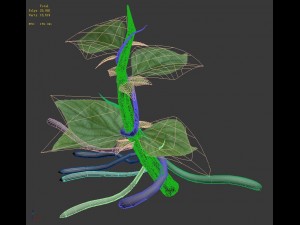 plant trees - vines 01 3D 模型