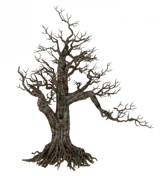 plant - wind are grass dead tree 06 3Dモデル .c4d .max .obj .3ds .fbx .stl .blend 